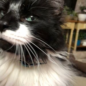 Meet your Posher, Karla